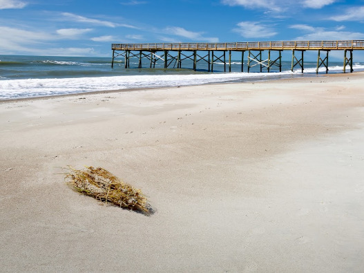 Atlantic Beach Boardwalk